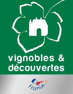 LOGO_VIGNOBLESETDECOUVERTES-Web