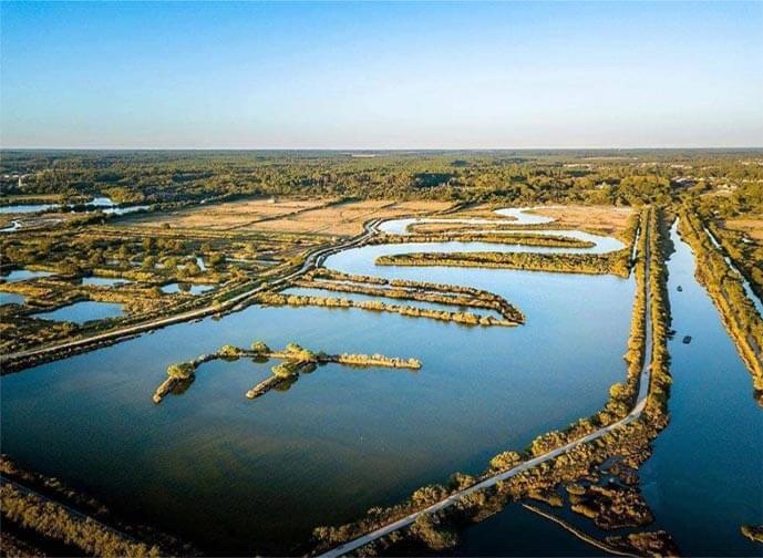 « Gironde », ma bien nommée, toi qui m’as adoptée…