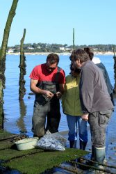 Description du cadeau n°2 : Une journée pescatourisme