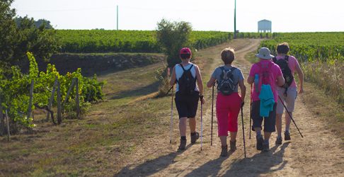 Randonnée sur la boucle de Fronsac