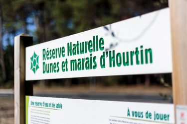 Visites guidées dans les dunes et marais d’Hourtin