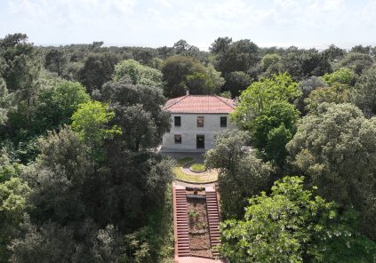 Visite gratuite de la Maison de Grave