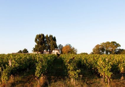 Journées Portes Ouvertes au Château Caillivet