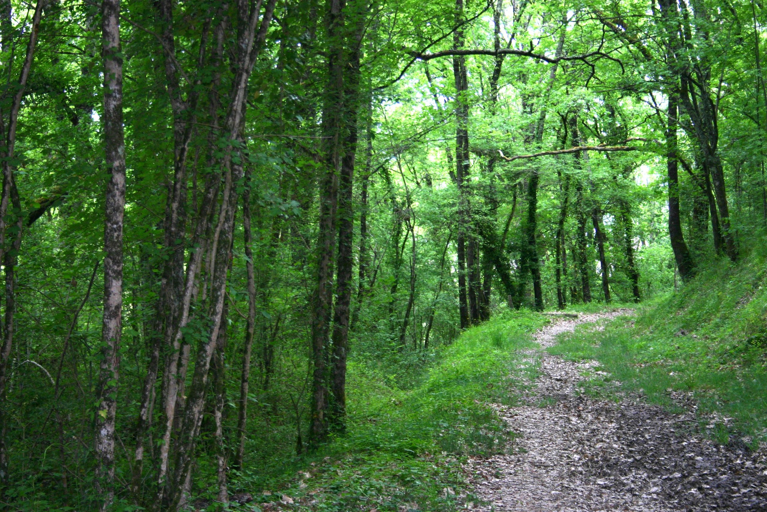 Entre Durèze et Soulège