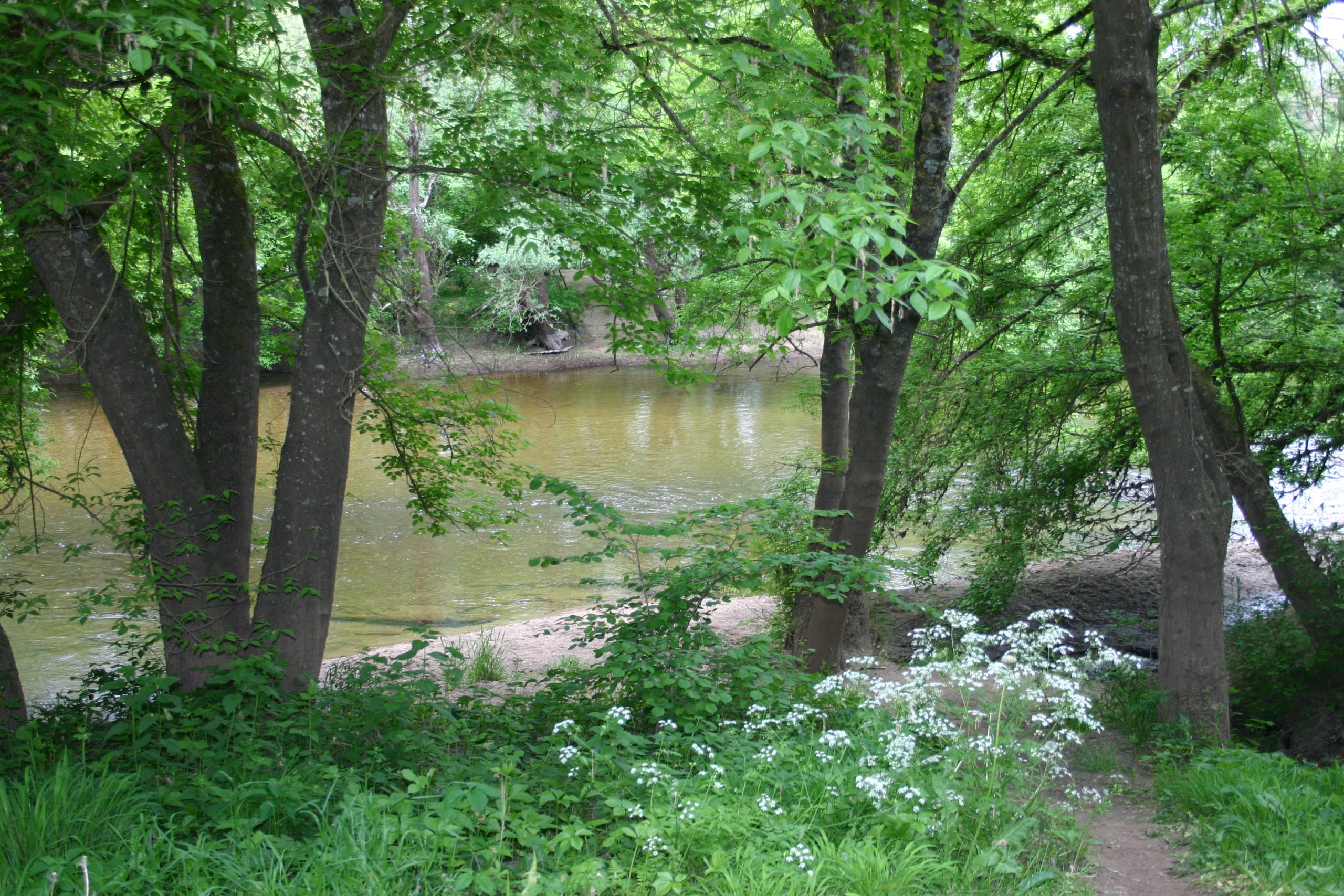 Entre Durèze et Soulège