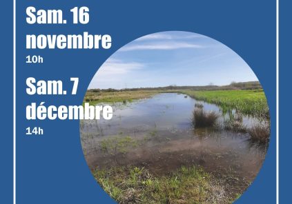 Sortie Nature: Découverte nature et bien être Du 16 nov au 7 déc 2024