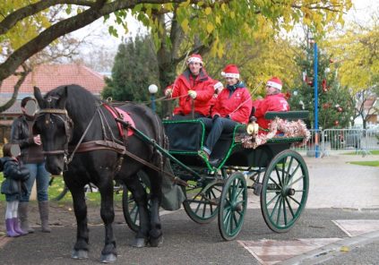 Balades en calèche