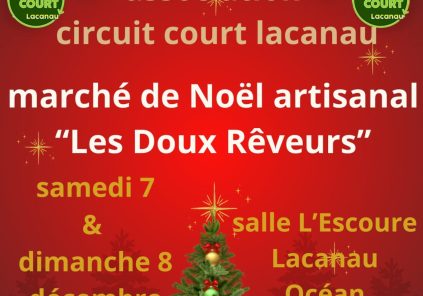 Marché artisanal de Noël « Les Doux Rêveurs » organisé par l’association Circuit Court