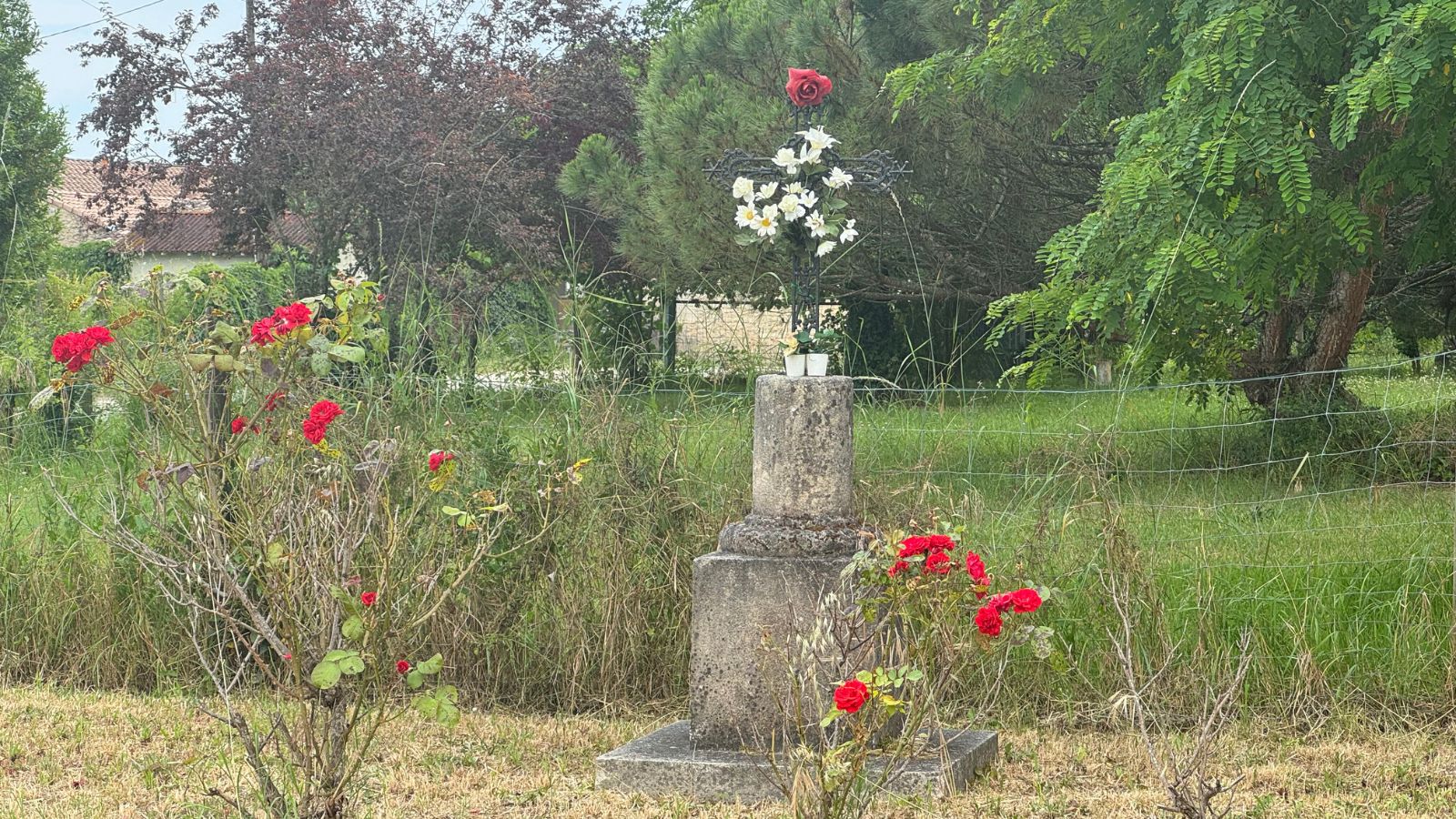 Boucle des vignes