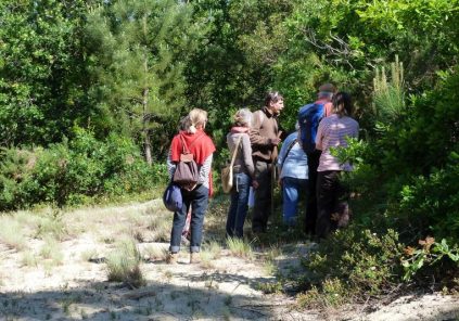 Visite Guidée : Forêt Dunaire de Camicas