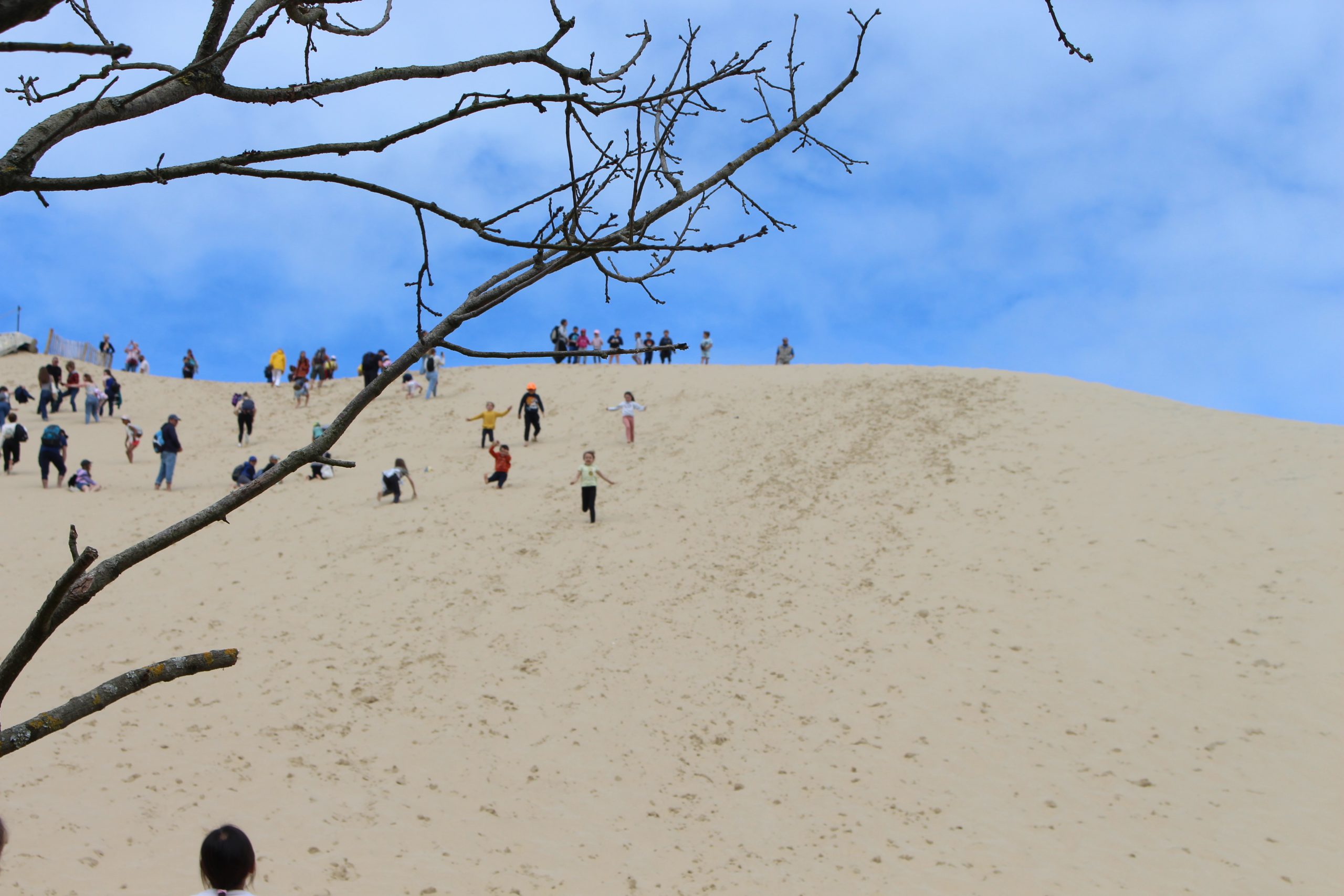 Les Pistes de Robin : Les secrets de la Dune du Pilat