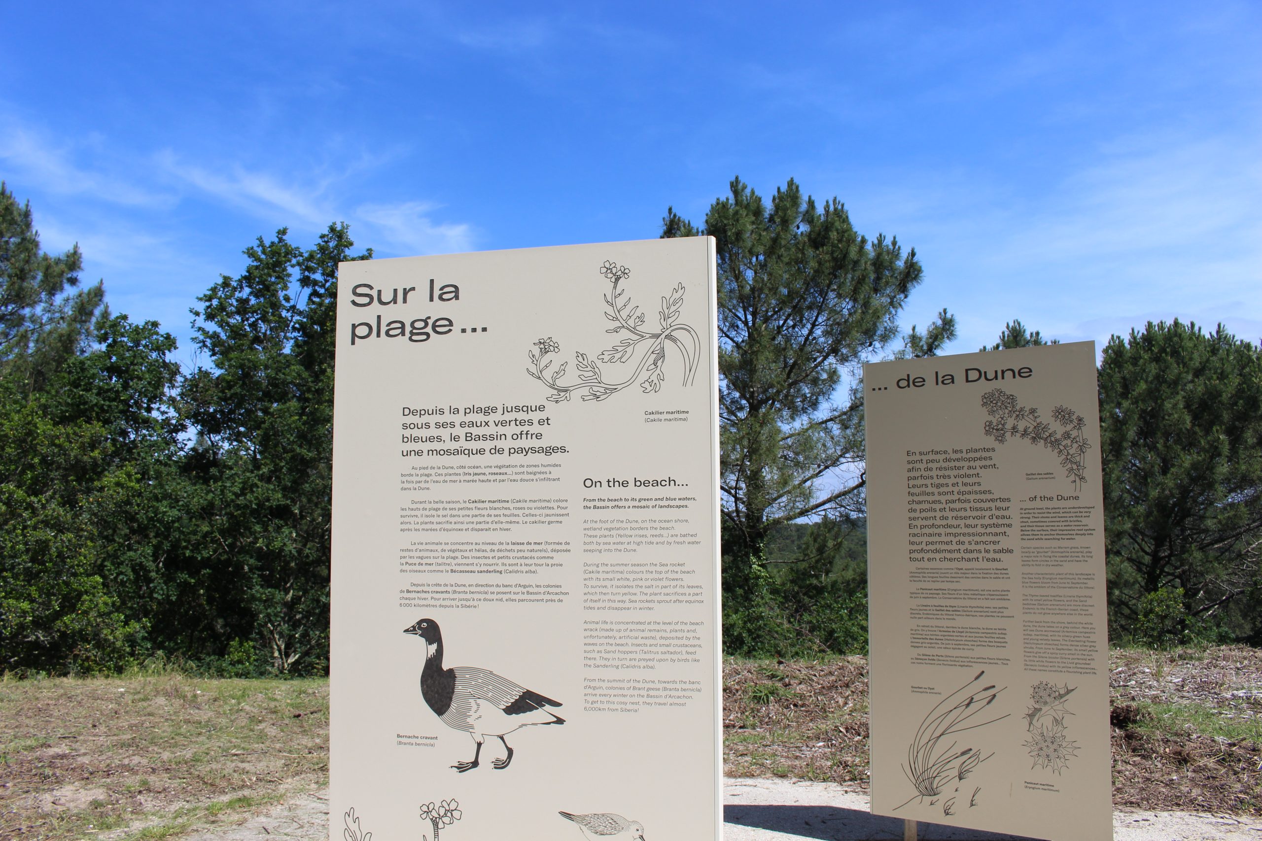 Les Pistes de Robin : Les secrets de la Dune du Pilat