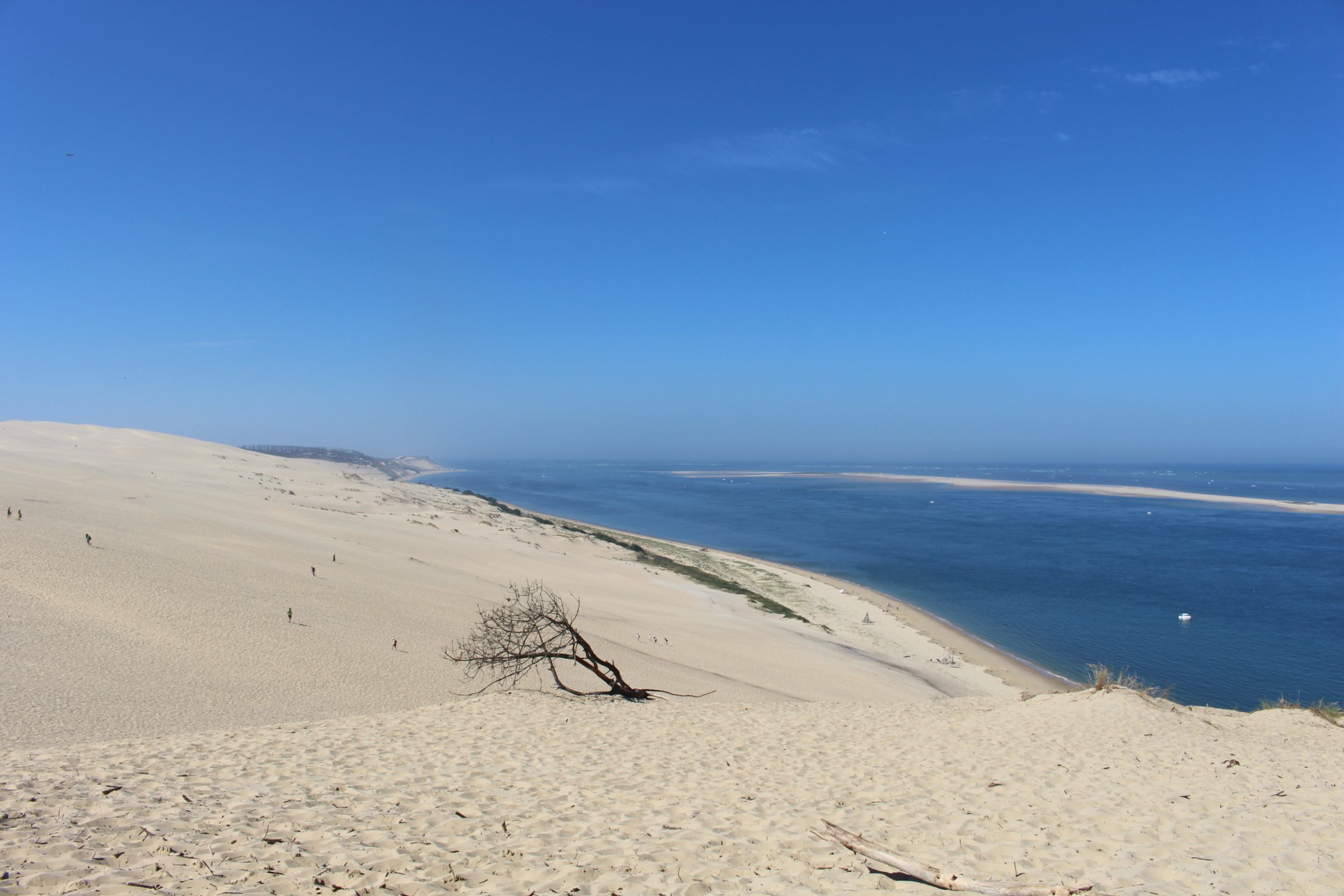 Les Pistes de Robin : Les secrets de la Dune du Pilat