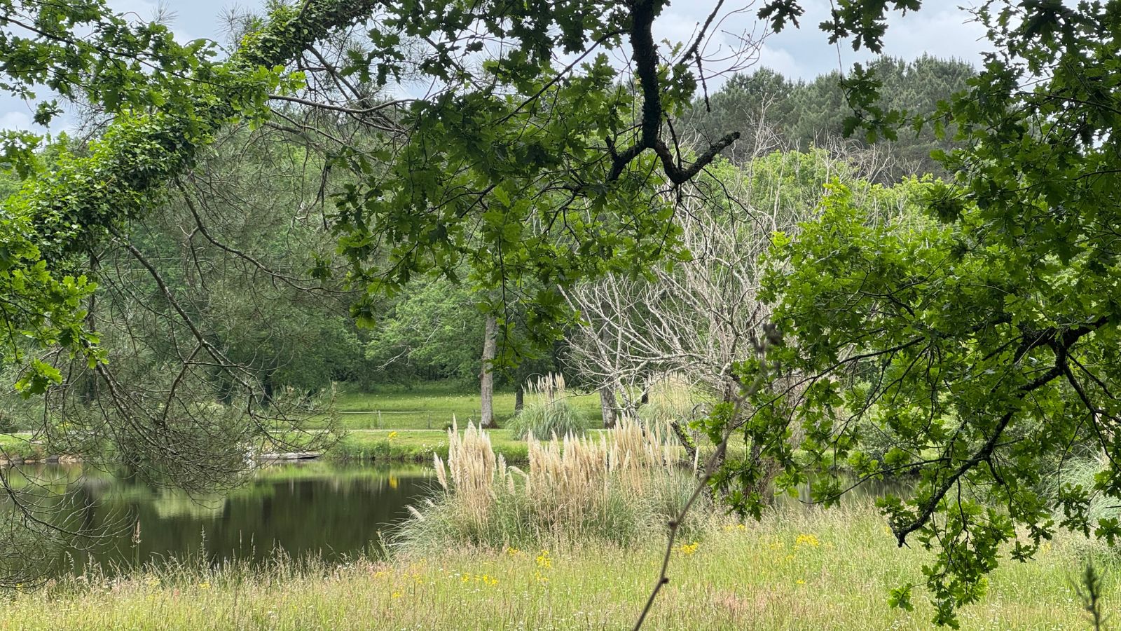 Boucle des anciennes landes