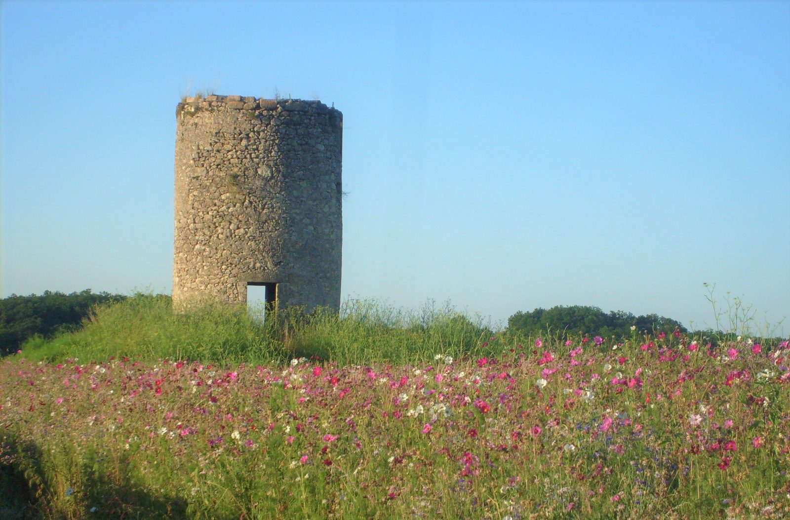 Boucle de l’arboretum et des moulins