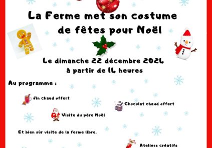 La ferme met son costume de Noël !