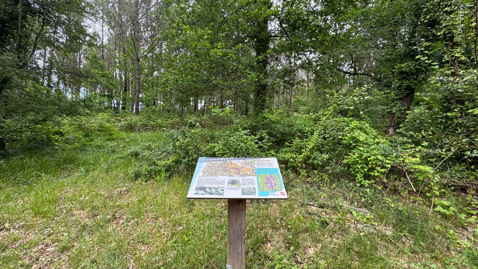 Boucle des anciennes landes