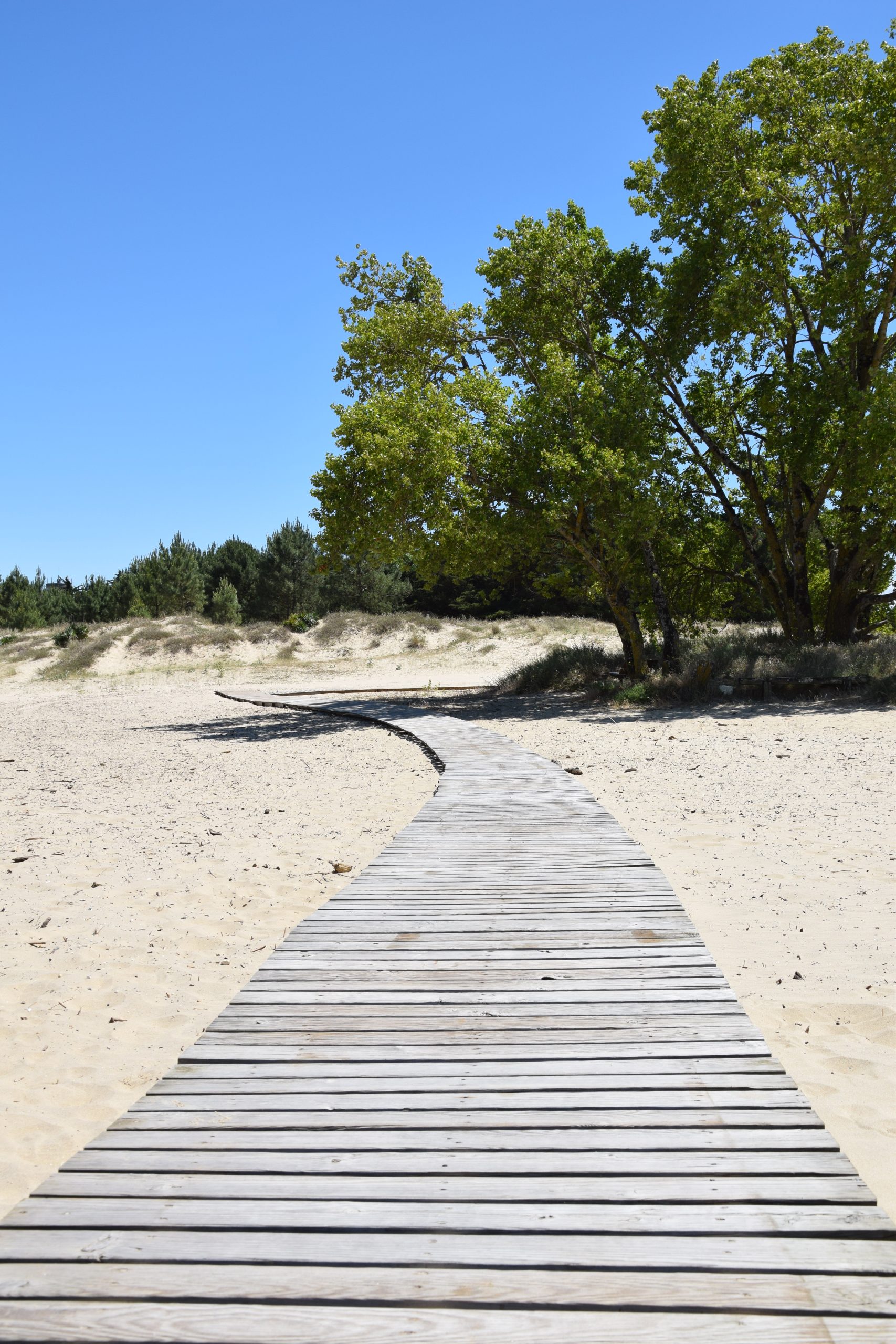 Sur les Pistes de Robin au Verdon-sur-Mer