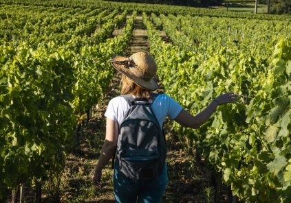 Vendanges Oenotouristiques au Château Moulin de la Marzelle Le 5 oct 2024