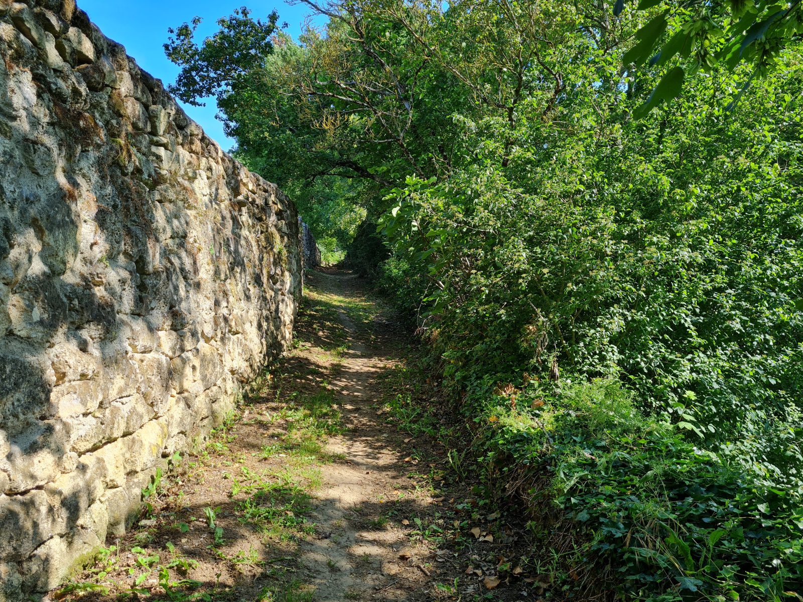 Boucle du Château de Rauzan