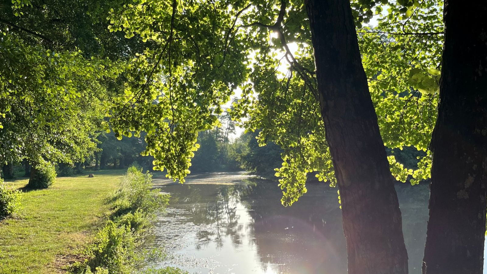 Boucle « Entre Garonne et Vignes »