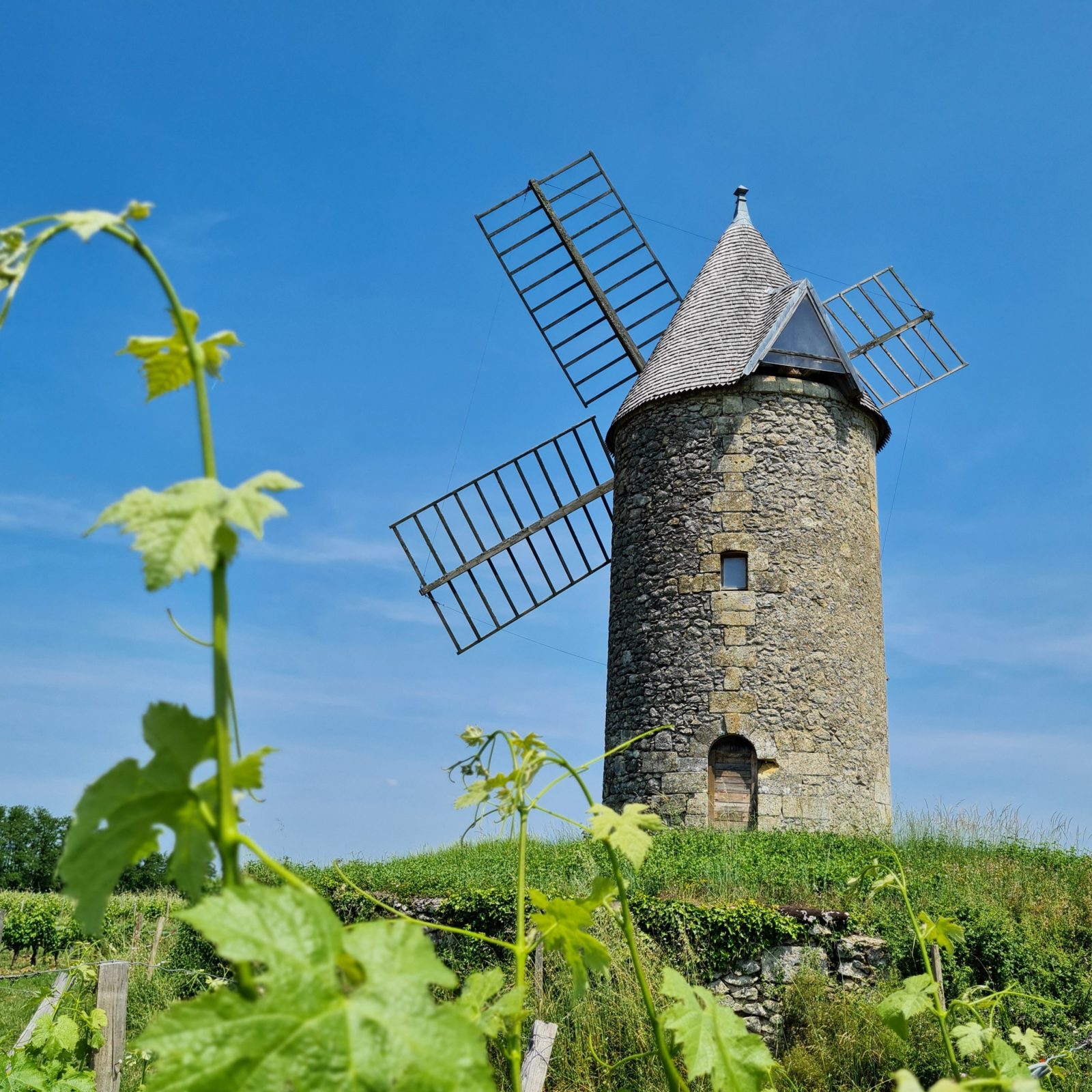 Du Lyssandre à l’Engranne