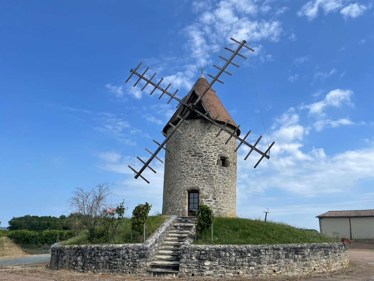 Entre bois et vignes