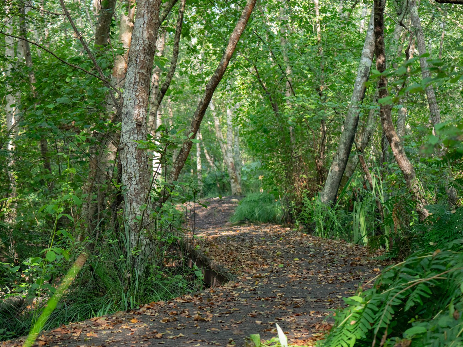 Le sentier de la Berle : un sentier naturellement fun !