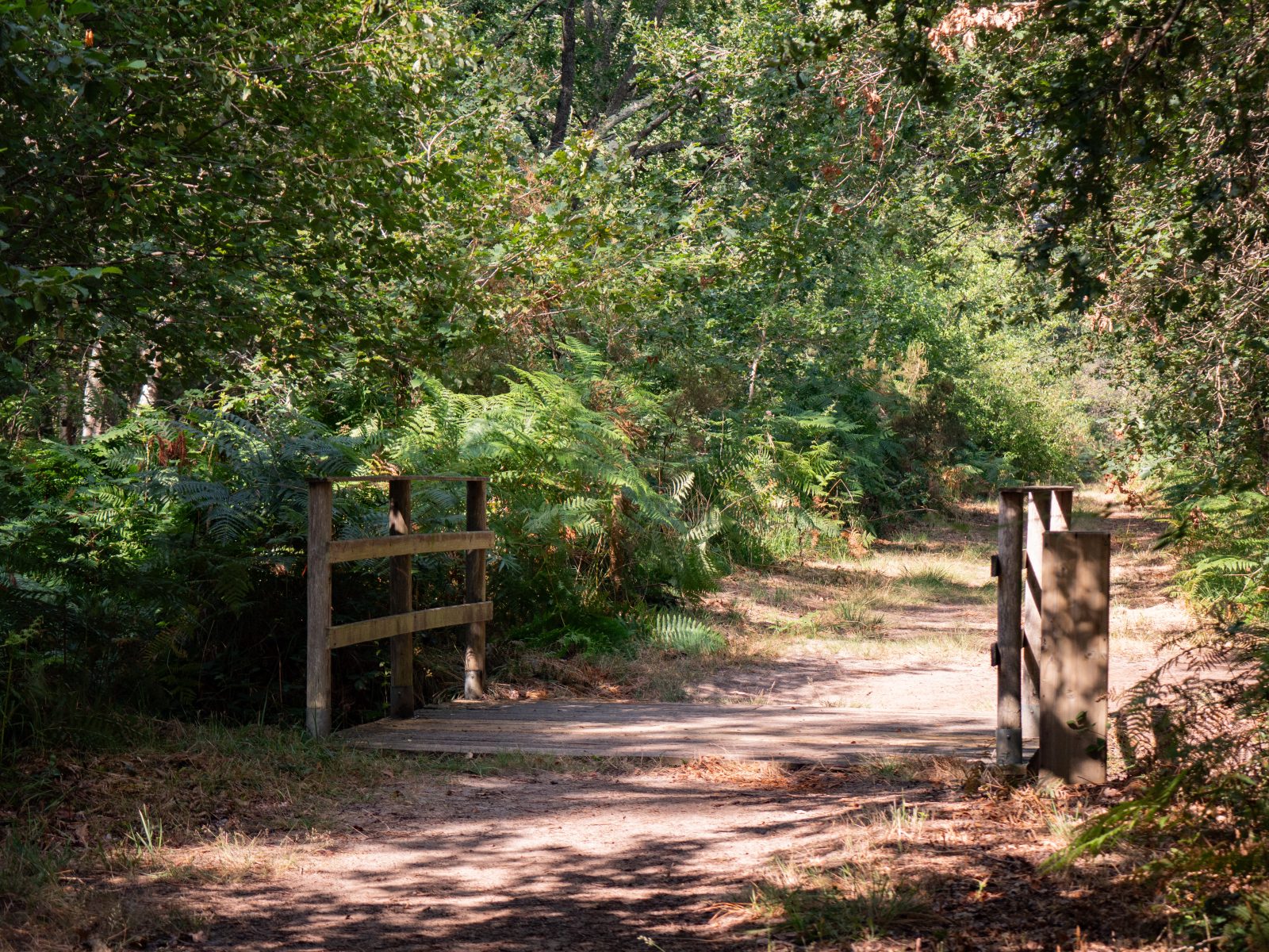 Le sentier de la Berle : un sentier naturellement fun !