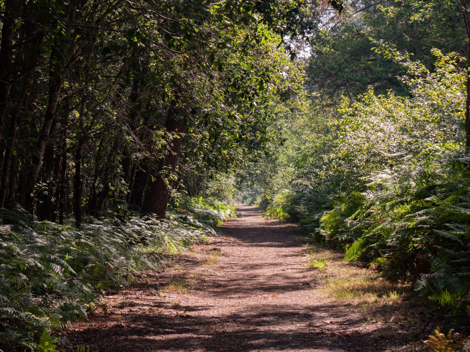 Le sentier de la Berle : un sentier naturellement fun !