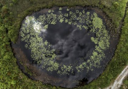 Journées Européennes du Patrimoine : Balade autour des lagunes de Saint-Magne