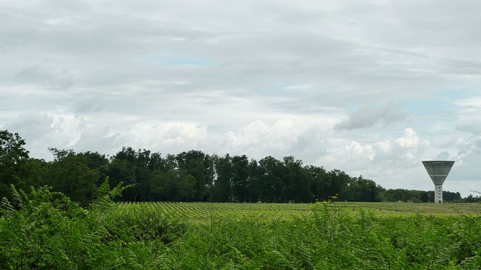 Boucle des anciennes landes